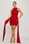 Wine High Neck Draped Detail Mini Dress