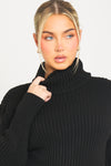 Black Chunky Knit Roll Neck Jumper Dress